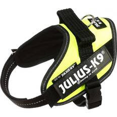 Julius-K9 » Compare prices, products (and offers) now