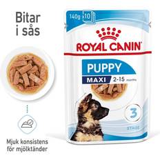 Royal Canin Wet Maxi Puppy Saver Pack: