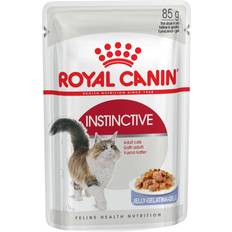 Royal Canin Katzen - Nassfutter Haustiere Royal Canin Fhn Instinctive Jelly Pouch85G