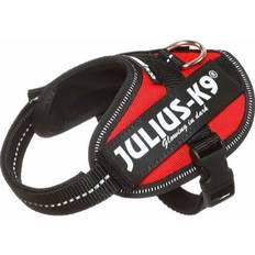 Julius-K9 Pets Julius-K9 Red Dog Harness, XX-Small