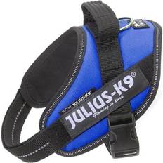 Julius-K9 Dogs Pets Julius-K9 Blue Dog Harness, Small