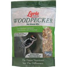 Bird & Insects Pets Lyric Woodpecker Bird Feeder, 5