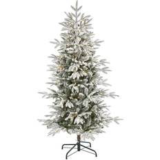 https://www.klarna.com/sac/product/232x232/3006172176/Nearly-Natural-5.5-ft.-Flocked-Manchester-Spruce-Artificial-with-Lights-and-Bendable-Branches-Christmas-Tree.jpg?ph=true