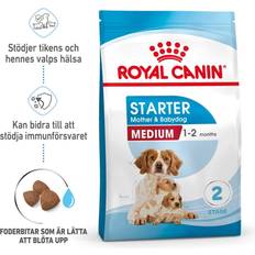Royal Canin Hundefôr Husdyr Royal Canin Starter Mother & Babydog and Puppy Dry Food