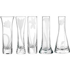 https://www.klarna.com/sac/product/232x232/3006188123/Qualia-Glass-Bouquet-Glass-Budvases-Set-Of-5-Unisex-Vase.jpg?ph=true