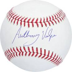 Fanatics Sports Fan Products Fanatics New York Yankees Anthony Volpe Autographed Baseball