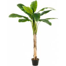 Innredningsdetaljer Emerald Artificial Banana Tree in Pot 120 cm Kunstig plante