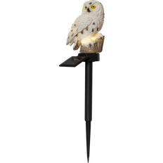 Innebygd strømbryter Bakkebelysning Star Trading Owl Bakkebelysning 33cm