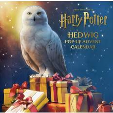 6.7 oz. Harry Potter™ Trivia Advent Calendar
