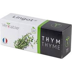 Plant Kits Veritable Organic Thyme Lingot