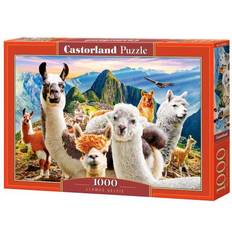 Castorland Llamas Selfie 1000 Pieces