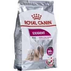 Royal Canin Hunder Husdyr Royal Canin Mini Exigent 3