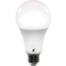 Smart bulb Qnect Smart bulb, E27, White CCT, WiFi