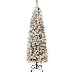 With Lighting Christmas Decorations National Tree Company 6 ft First Traditions Pre-Lit Acacia Flocked Slim Christmas Tree 70.8"