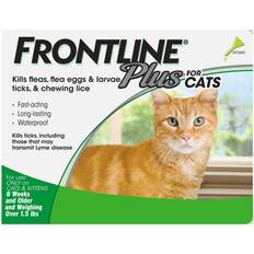 Frontline plus for cats Pets Frontline Plus Cats 12 Doses