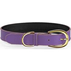 Swaggin Tails Colorful Collar Purple M
