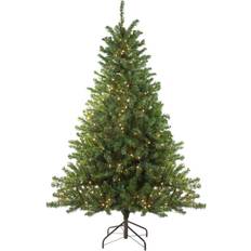 Interior Details Northlight Seasonal 5-ft. Pre-Lit Clear Canadian Pine Artificial Christmas Tree, Green