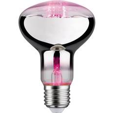 LEDs Paulmann Grow light LED bulb E27 R80 6.5 W