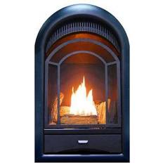 Yellow Gas Fires Procom Dual-Fuel Ventless Gas Fireplace Insert, Arched Door, T-Stat Control, 170172
