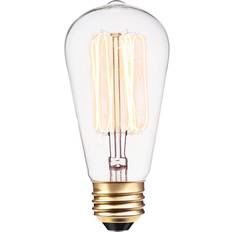 Incandescent Lamps Globe Electric Vintage Bulb 1.0 ea