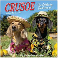 Willow Creek Press Office Supplies Willow Creek Press 2023 Crusoe the Celebrity Dachshund Calendar