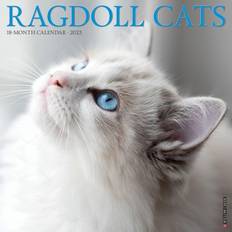 Willow Creek Press Office Supplies Willow Creek Press Ragdoll Cats 2023 Calendar