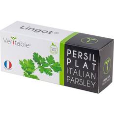 Plant Kits Veritable Organic Italian Parsley Lingot