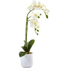 White Decorations Nearly Natural Phalaenopsis Orchid Frosted