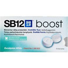 SB12 Boost Eucalyptus White Chewing Gum 10st
