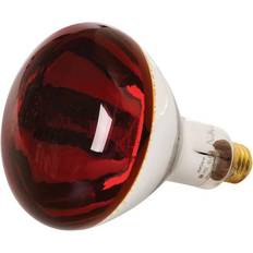 Incandescent Lamps on sale GE 37771 250R40/10 Heat Lamp Light Bulb