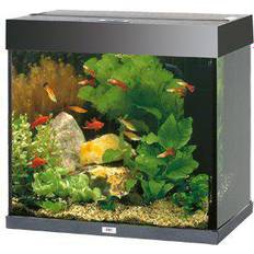 Fische & Reptilien Haustiere Juwel Akvarium Lido 120