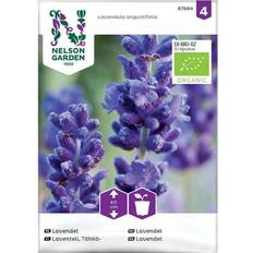 Potter, Planter & Dyrking Nelson Garden Økologisk Lavendel frø