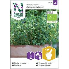 Urtefrø Nelson Garden Timjan, Krydd-, Winter, Organic