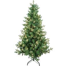 Kurt Adler S. 5ft. Pre-Lit Clear Jackson Pine Christmas Tree