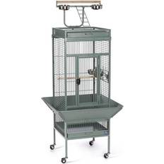 3151 Select Signature Parrot Cage Sage