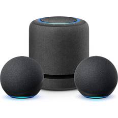 Amazon Echo Dot 4th Generation (14 stores) • See price »