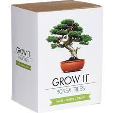 Saatgut Gift Republic Grow It Bonsai Trees