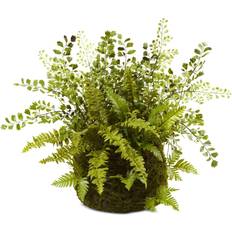 Boxes & Baskets Nearly Natural Mixed Fern with Twig & Moss Basket