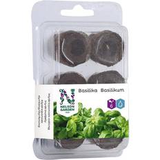 Dyrkesett Nelson Garden Plug with Basil Seed 6-pack