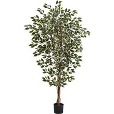 White Decorations Nearly Natural 6Ft Potted Hawaiian Ficus Tree