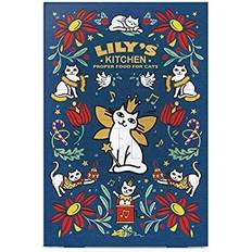 Lily's kitchen Cat Christmas Advent Calendar 42g