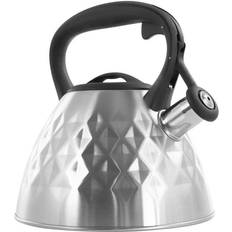 Brushed stainless steel kettle Mr. Coffee Donato Round Whistling Tea
