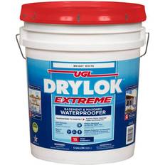 White masonry paint Drylok Extreme Concrete & Masonry Waterproofer Bright White 5gal