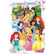 Disney Barnerom Disney Princess Poster 286