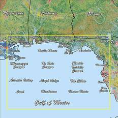 Garmin Handheld GPS Units Garmin 010-C1188-00 Gulf Coast Standard Mapping Professional
