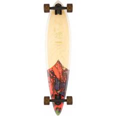 Arbor Longboards Arbor Groundswell Fish Longboard Complete