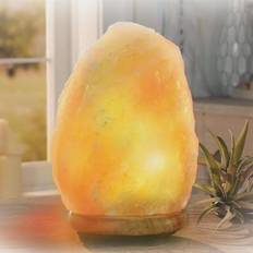 Himalayan salt lamps & now best • Compare » find price
