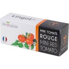 Plant Kits Veritable Lingot Red Mini Tomato