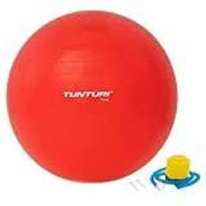 Tunturi Exercise Balls Tunturi Gym Ball 75 cm