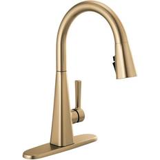Delta Faucets Delta 19802Z-DST Single-Handle Faucet ShieldSpray Bronze Faucet